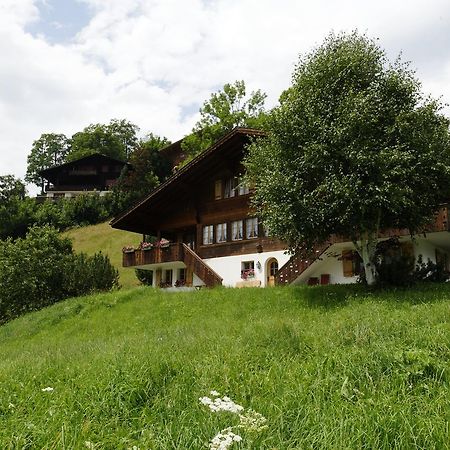 Chalet Unter Dem Stein Гринделвалд Екстериор снимка