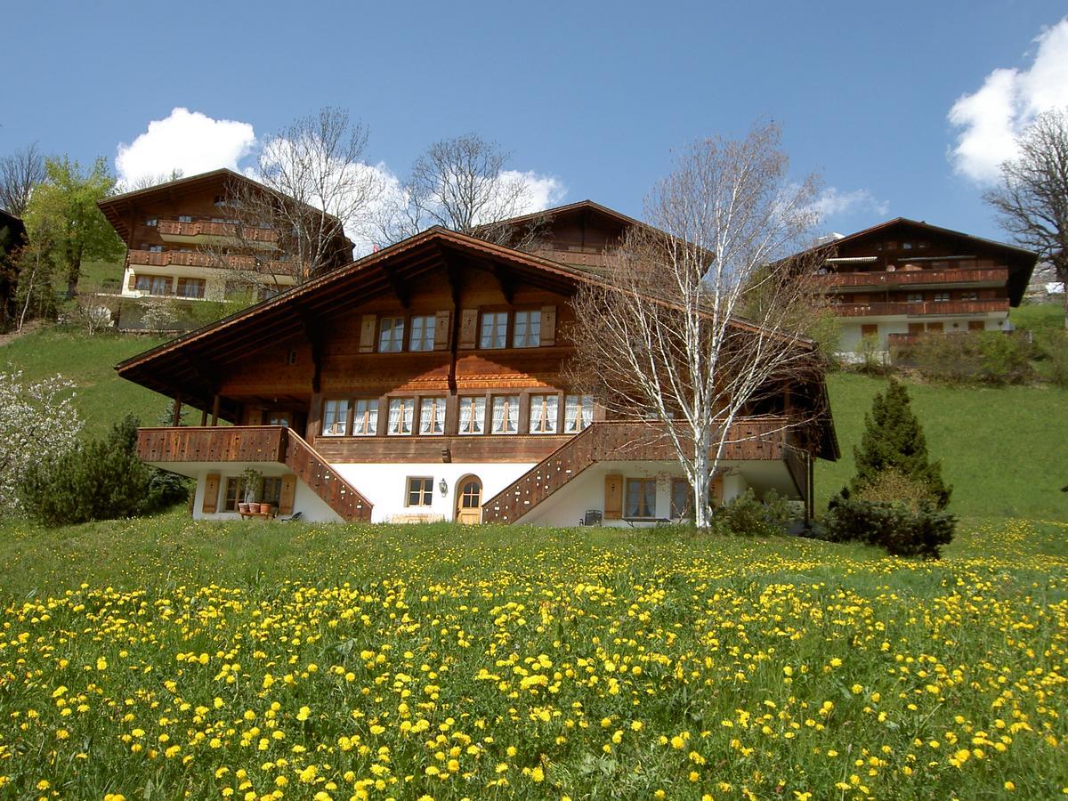 Chalet Unter Dem Stein Гринделвалд Екстериор снимка
