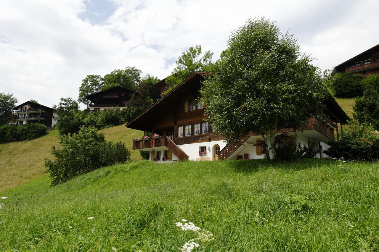 Chalet Unter Dem Stein Гринделвалд Екстериор снимка